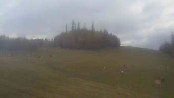 Biathlonclub Břidličná