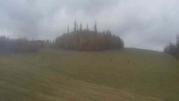 Biathlonclub Břidličná