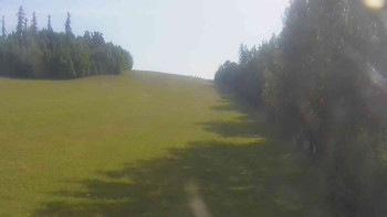 Snímek    5.7.2025 v 08:00