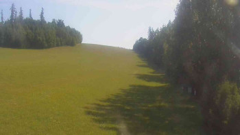 Snímek    5.7.2025 v 09:00