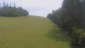 Snímek    13.7.2025 v 11:00