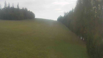 Snímek    18.9.2025 v 08:01