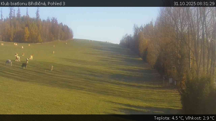 Klub biatlonu Břidličná - Pohled 3 - 31.10.2025 v 08:31