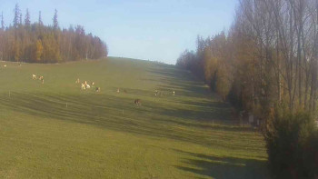 Snímek    31.10.2025 v 09:00