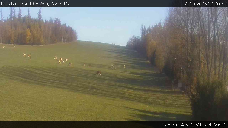 Klub biatlonu Břidličná - Pohled 3 - 31.10.2025 v 09:00 Klub biatlonu Břidličná - Pohled 3 - 31.10.2025 v 09:00