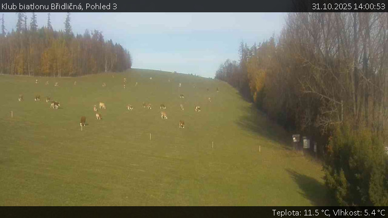 Klub biatlonu Břidličná - Pohled 3 - 31.10.2025 v 14:00 Klub biatlonu Břidličná - Pohled 3 - 31.10.2025 v 14:00