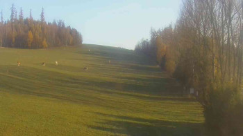 Snímek    4.11.2025 v 08:00