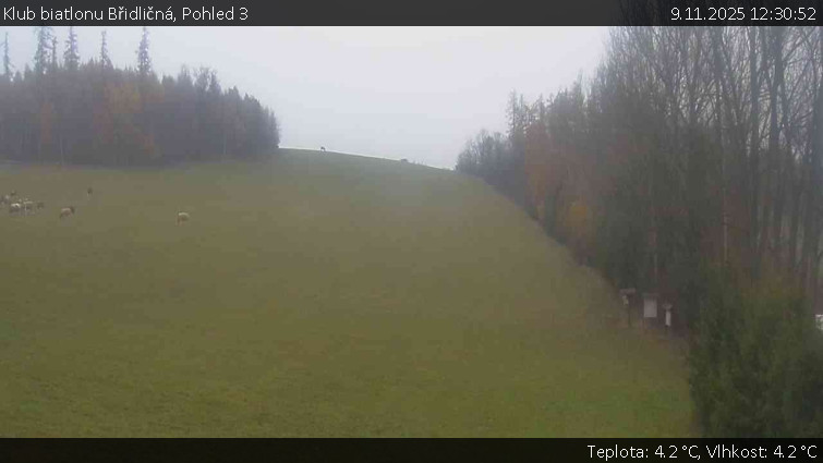 Klub biatlonu Břidličná - Pohled 3 - 9.11.2025 v 12:30