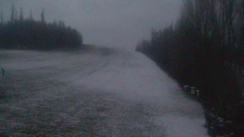 Snímek    19.11.2025 v 16:30