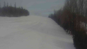 Klub biatlonu Břidličná - Pohled 3 - 31.12.2025 v 11:30