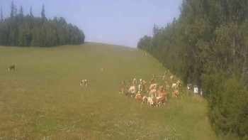 Klub biatlonu Břidličná