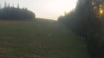 Klub biatlonu Břidličná