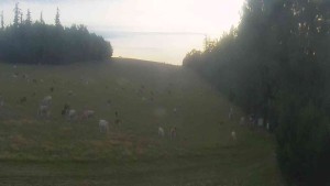 Klub biathlonowy Břidličná - Widok 3 - 8.8.2026 v 05:30 Klub biathlonowy Břidličná - Widok 3 - 8.8.2026 v 05:30