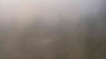 Snímek    15.10.2025 v 07:30