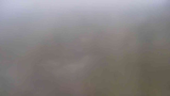 Snímek    17.10.2025 v 09:30