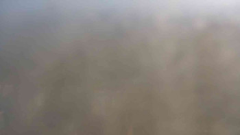 Snímek    31.10.2025 v 11:00