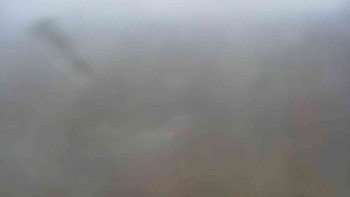 Snímek 17.11.2025 v 14:30