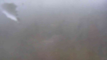 Snímek 17.11.2025 v 15:30