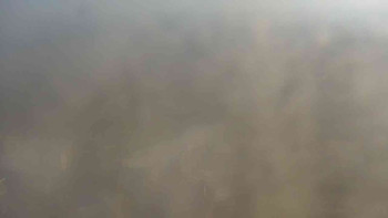 Klub biatlonu Břidličná