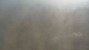 Klub biatlonu Břidličná - Pohled 4 - 2.3.2026 v 10:00