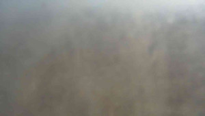 Klub biatlonu Břidličná - Pohled 4 - 2.3.2026 v 11:00