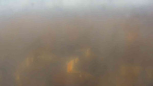 Klub biatlonu Břidličná - Pohled 4 - 2.3.2026 v 16:30 Klub biatlonu Břidličná - Pohled 4 - 2.3.2026 v 16:30