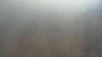 Klub biatlonu Břidličná