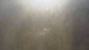 Klub biatlonu Břidličná