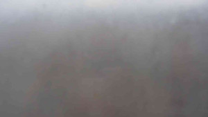 Klub biatlonu Břidličná - Pohled 4 - 9.3.2026 v 17:31