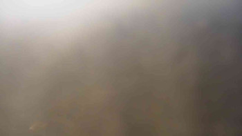 Klub biatlonu Břidličná