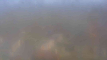 Klub biatlonu Břidličná