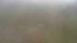 Pohled 4