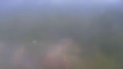 Pohled 4