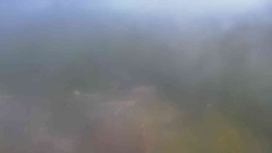 Widok 4