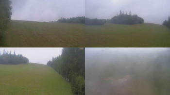 Snímek    7.7.2025 v 07:20