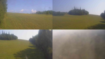 Snímek    15.7.2025 v 08:40