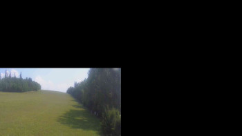 Snímek    15.7.2025 v 10:10