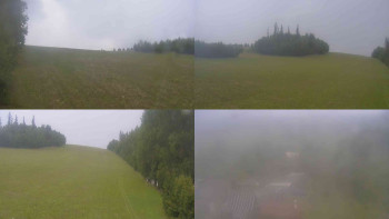 Snímek    16.7.2025 v 16:50