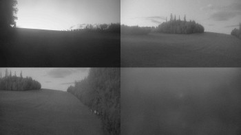 Snímek    17.9.2025 v 19:31