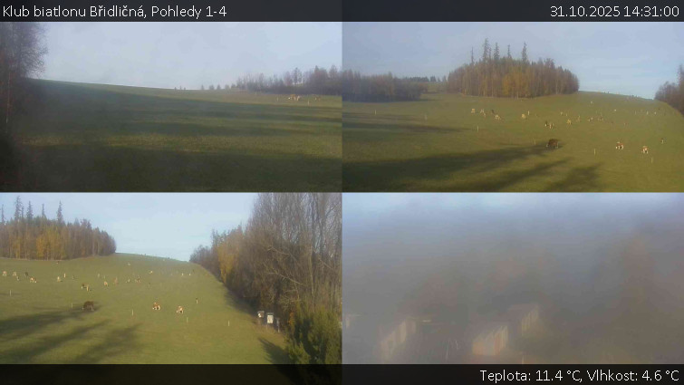 Klub biatlonu Břidličná - Pohledy 1-4 - 31.10.2025 v 14:31 Klub biatlonu Břidličná - Pohledy 1-4 - 31.10.2025 v 14:31