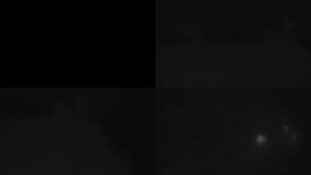 Klub biatlonu Břidličná