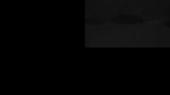 Klub biatlonu Břidličná