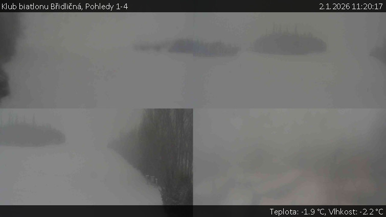 Klub biatlonu Břidličná - Pohledy 1-4 - 2.1.2026 v 11:20