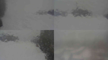 Klub biatlonu Břidličná