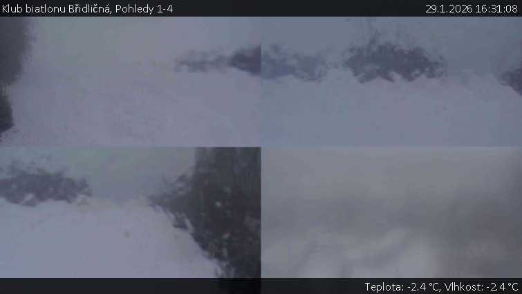 Klub biatlonu Břidličná - Pohledy 1-4 - 29.1.2026 v 16:31