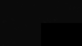 Klub biatlonu Břidličná