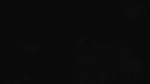 Klub biatlonu Břidličná - Pohledy 1-4 - 28.3.2026 v 03:50