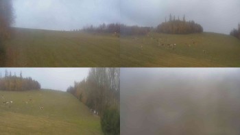 Klub biatlonu Břidličná
