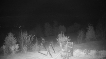 Snímek    11.5.2025 v 03:30