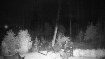 Snímek    24.10.2025 v 03:00